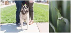 Oakley Cincinnati Engagement Session by Madeline Jane Photography