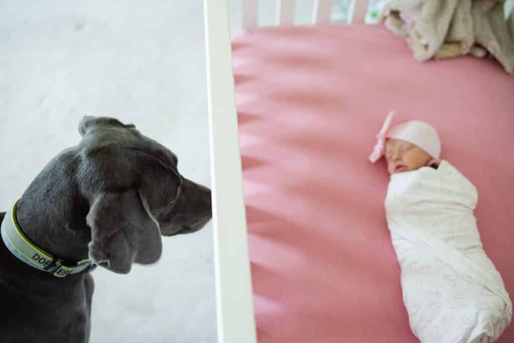 at home newborn session with Madeline Jane Photography